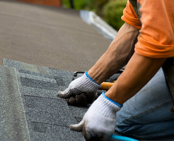 Best Roof Gutter Cleaning  in Kimberly, WI